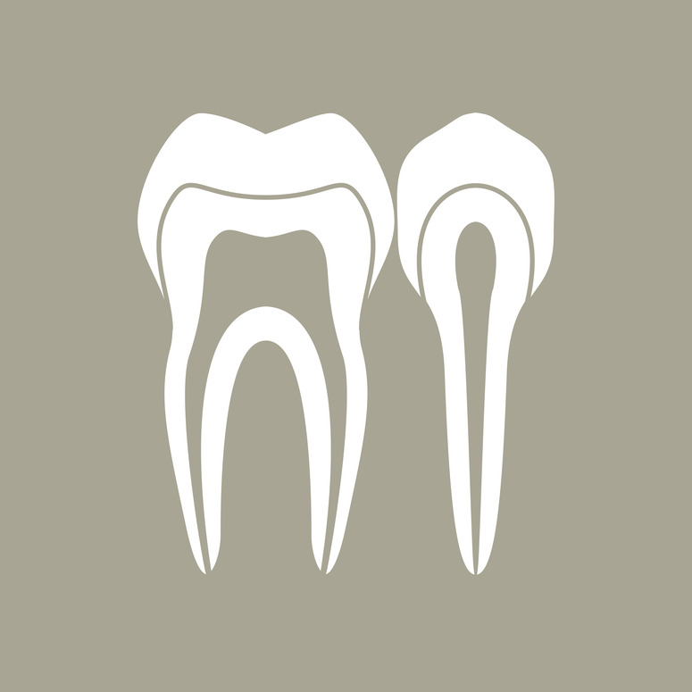 A Day in the Life of a Tooth