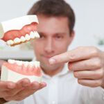 Our Placerville dentists can help you understand your teeth.