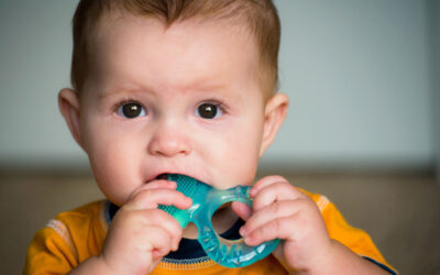 Prevent Early Childhood Caries