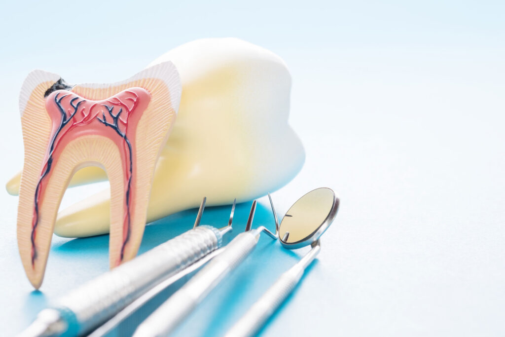 Dentist and Endodontist