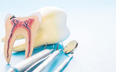 Dentist and Endodontist