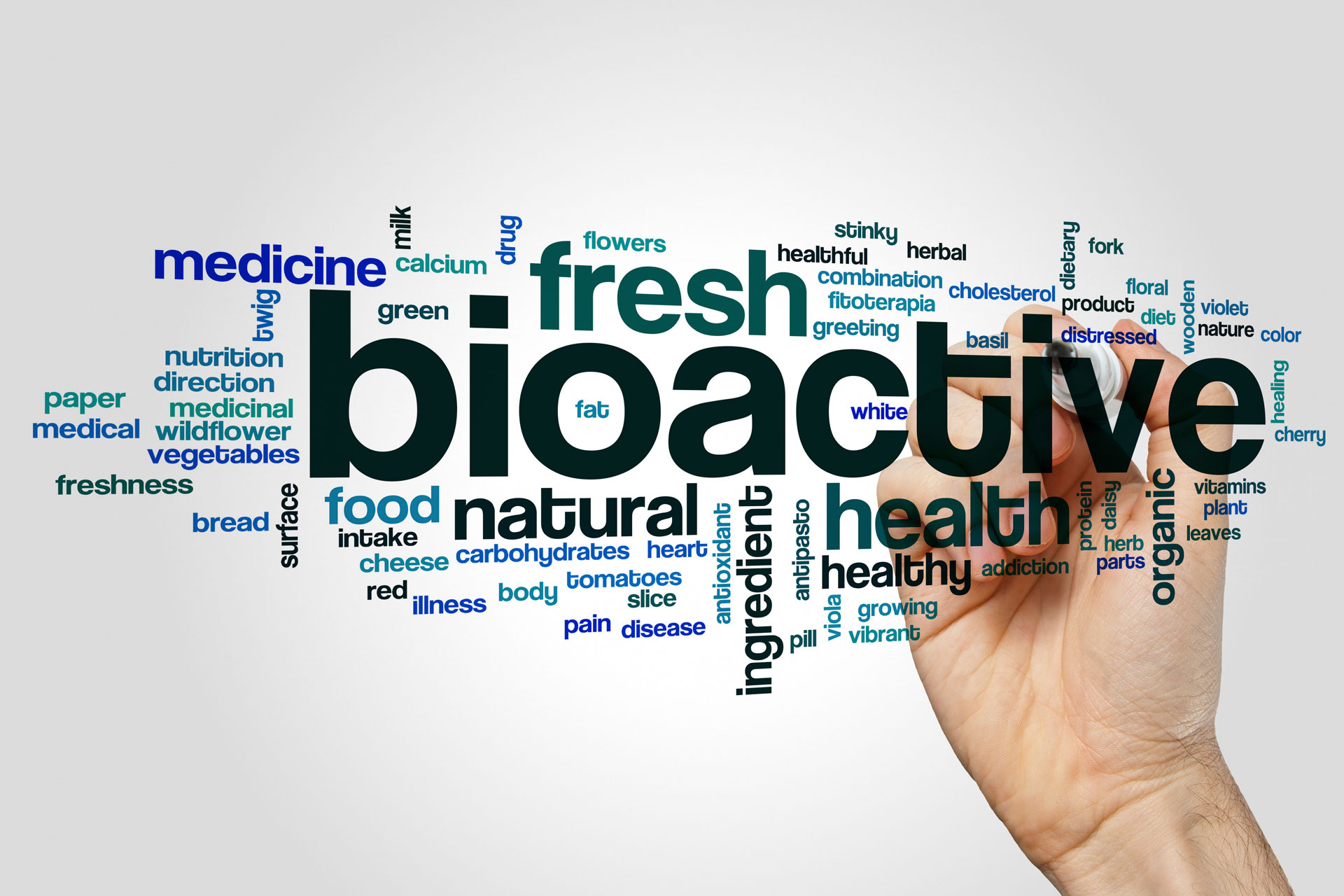 Bioactive Materials Placerville Dental Group