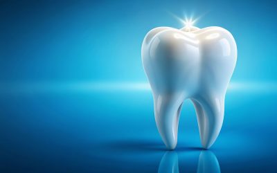 The Anatomy of a Human Tooth